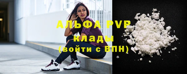 индика Балахна
