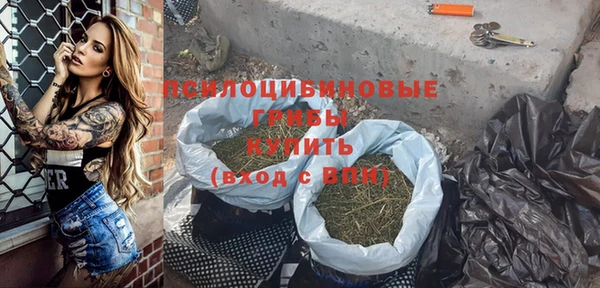 индика Балахна