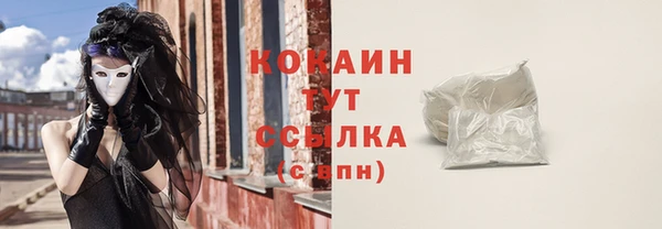 индика Балахна