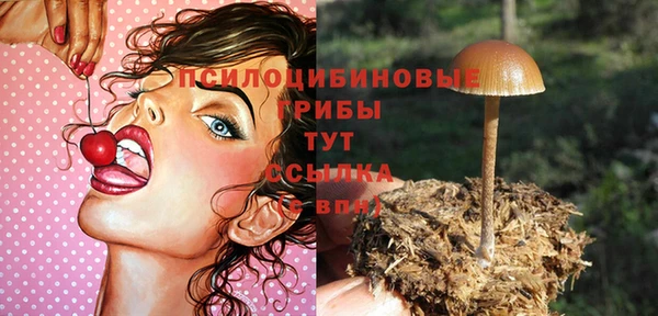 индика Балахна