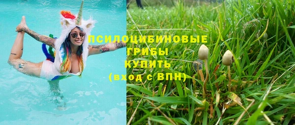 бошки Рославль