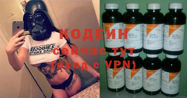 индика Балахна